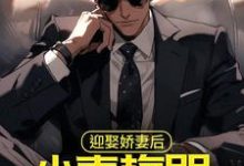 小说《迎娶娇妻后,小青梅哭着来找我》在线章节阅读-乐读文学