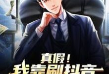 陆青为主角的小说叫什么?免费看真假!我靠刷抖音走上人生巅峰-乐读文学