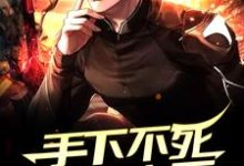 手下不死骑士十万,你敢叫他刁民?小说完结了吗?在哪里可以免费读到?-乐读文学