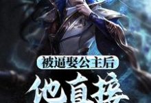 主人公叫王修苏晚晴的小说被逼娶公主后,他直接坐了皇位在线阅读章节-乐读文学