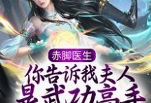 完结版《赤脚医生,你告诉我夫人是武功高手?》免费阅读-乐读文学