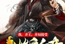 主人公叫叶言嬴阴嫚慕容镜楚若月的小说我,齐王,开局接受秦始皇和亲在线阅读章节-乐读文学