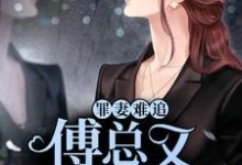 完整版的罪妻难追:傅总又被拉黑了小说在哪里可以免费读到?-乐读文学