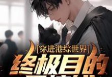 穿进港综世界:终极目的是搞钱小说的免费电子版在哪里可以下载或阅读?-乐读文学