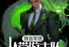 铁血军团,从带游击队打仗开始小说,铁血军团,从带游击队打仗开始最新章节-乐读文学
