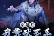 哪里可以免费读到杨休的完整故事?寻找穿越后,我靠武圣系统一统江山-乐读文学