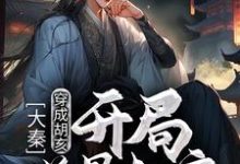 哪里能找到大秦:穿成胡亥,开局逆骨赵高小说的全部章节?-乐读文学