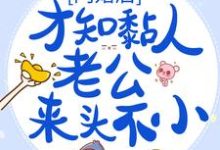 闪婚后,才知黏人老公来头不小这本小说在哪里可以看?哪里有免费试读章节?-乐读文学