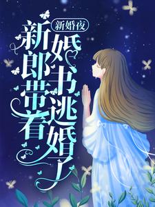 《新婚夜，新郎带着婚书逃婚了？》全集免费在线阅读（宋丛温苏烟）