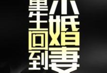 何东祝晴雅的故事在哪本书里?免费阅读重生回到未婚妻在世时-乐读文学