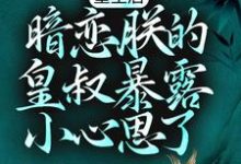 重生后,暗恋朕的皇叔暴露小心思了这本小说在哪里可以看?哪里有免费试读章节?-乐读文学