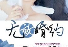 完结版《无效婚约》在线免费阅读-乐读文学