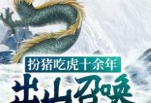 嬴子夜白影小说《扮猪吃虎十余年,出山召唤千万龙骑》在线阅读-乐读文学