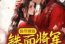 极尽撩拨:铁面将军沦陷了小说最新章节在哪里可以读到?-乐读文学