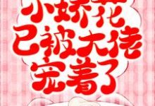 求纪挽眉雷霆军小说免费资源-乐读文学