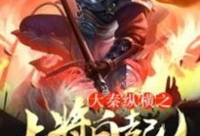 白起映雪儿小说叫什么(大秦纵横之上将白起免费阅读)-乐读文学