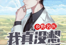 乡野名医:我真没想当渣男啊林毅吴晴小说在线章节免费阅读-乐读文学
