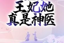 《禀王爷,王妃她真是神医》小说章节列表免费试读, 凤倾华战北霄小说在线阅读-乐读文学