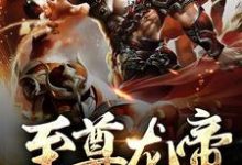 完结版《至尊龙帝》在线免费阅读-乐读文学