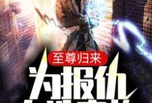 王昊天罗月琴小说叫什么(至尊归来:为报仇血洗家族免费阅读)-乐读文学
