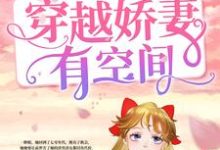 主人公沈微谢延小说勇闯七零:穿越娇妻有空间在线章节阅读-乐读文学