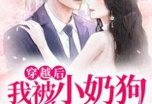 主人公高秋谨叶安怀小说穿越后,我被小奶狗缠上了在线章节阅读-乐读文学