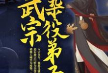 武宗杂役弟子小说有没有完整的免费版本在线阅读?-乐读文学