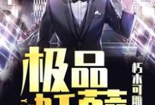 叶凡柳若霜的小说在哪里看?免费在线阅读极品妖孽-乐读文学