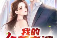 我的绝美老婆陈南吴真真许璐璐高雪,我的绝美老婆最新章节-乐读文学