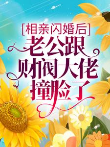 相亲闪婚后，老公跟财阀大佬撞脸了这本小说怎么样？免费在线阅读试试