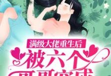 《满级大佬重生后,被六个哥哥宠成天上月》小说大结局免费试读 唐贝儿战连钰小说-乐读文学