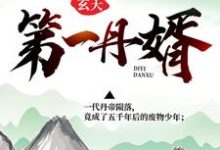 已完结小说《玄天第一丹婿》章节在线阅读-乐读文学