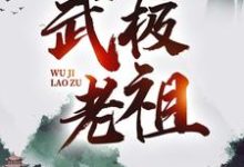 《武极老祖》小说章节列表免费试读,林炎灵皇小说在线阅读-乐读文学