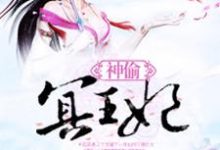 神偷冥王妃小说全文阅读需要付费吗?寻找免费资源-乐读文学