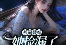 被逼替嫁,她捡漏了财阀大佬这本小说在哪里可以看?哪里有免费试读章节?-乐读文学