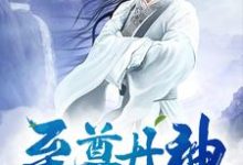 李烨魅络小说在线章节免费阅读(至尊丹神无弹窗无删减)-乐读文学