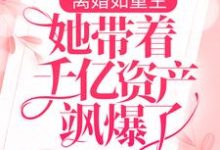 免费在线阅读离婚如重生,她带着千亿资产飒爆了小说的正规网站有哪些?-乐读文学