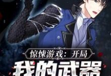 惊悚游戏：开局我的武器能黑化叶觉，惊悚游戏：开局我的武器能黑化章节在线阅读-乐读文学