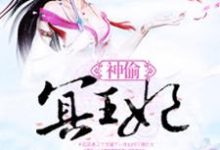 神偷冥王妃小说,神偷冥王妃在线阅读-乐读文学