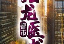小说《都市:九龙医书》章节阅读-乐读文学