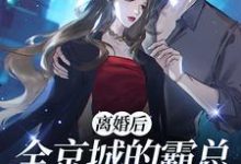 主人公裴璟琛沈希宁小说离婚后全京城的霸总都在追求我在线章节阅读-乐读文学