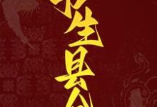 已完结小说《书生县令》最新章节-乐读文学