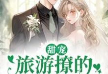 甜宠:旅游撩的老板追来了!小说全文哪里可以免费看?-乐读文学