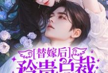 寻找能够免费阅读替嫁后,矜贵总裁宠她上瘾小说的平台-乐读文学