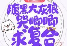 颜婳江慕廷的小说在哪里看?免费在线阅读回城后,腹黑大灰狼哭唧唧求复合-乐读文学