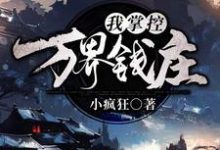 叶玄凤九为主角的小说叫什么?免费看我!掌控万界钱庄-乐读文学