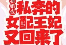 白娇娇为主角的小说叫什么?免费看新婚夜,私奔的女配王妃又回来了-乐读文学