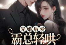 南初商凛的小说在哪里看?免费在线阅读先婚后爱:霸总轻哄娇妻放肆宠-乐读文学