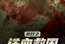 完结版《抗日之铁血救国》免费阅读-乐读文学