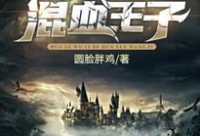 已完结小说《霍格沃茨的混血王子》在线章节阅读-乐读文学
